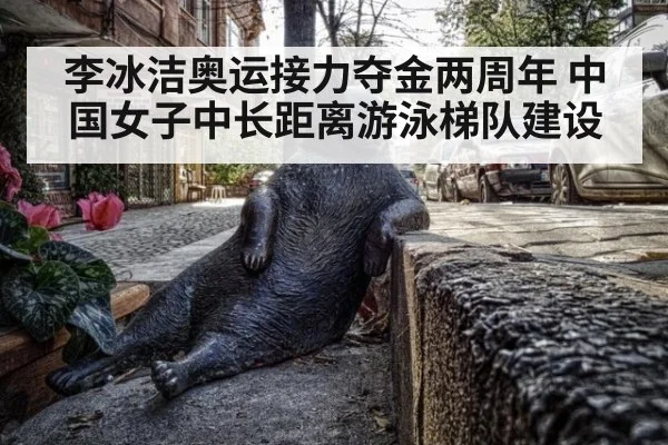 李冰洁奥运接力夺金两周年 中国女子中长距离游泳梯队建设